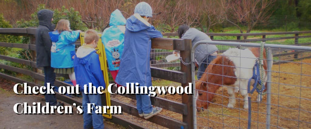 Check out the Collingwood Children’s Farm