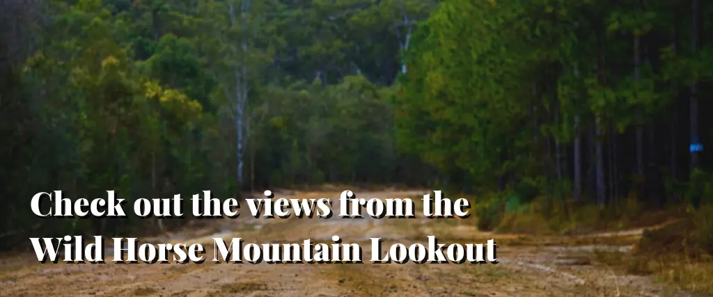 Check out the views from the Wild Horse Mountain Lookout
