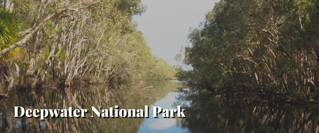 Deepwater National Park