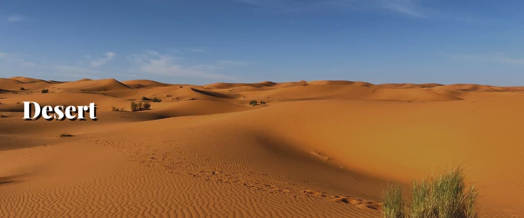 Desert