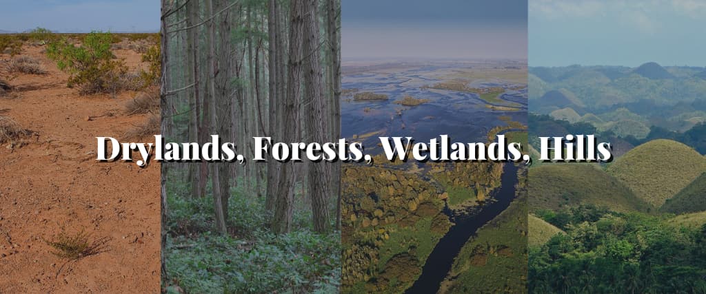 Drylands, Forests, Wetlands, Hills