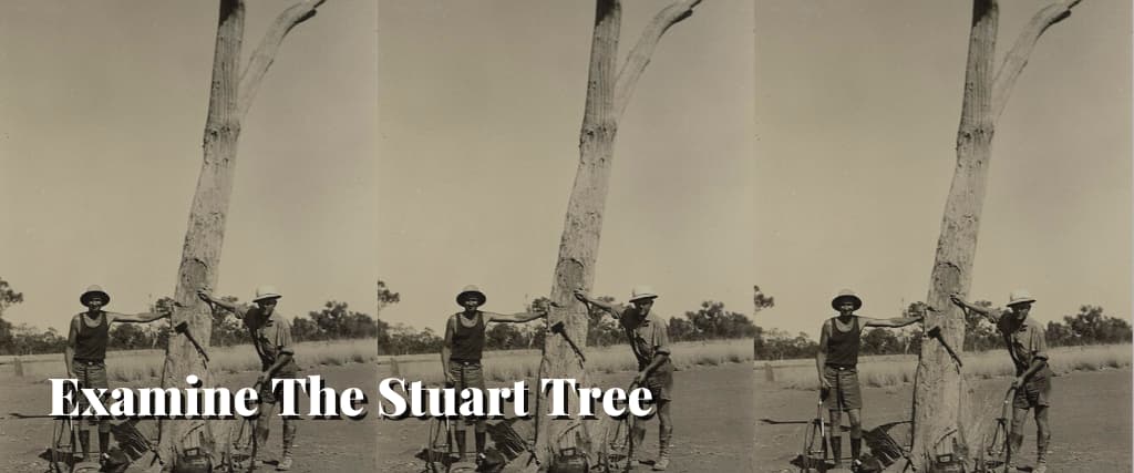 Examine The Stuart Tree