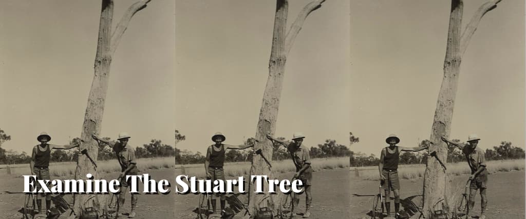 Examine The Stuart Tree