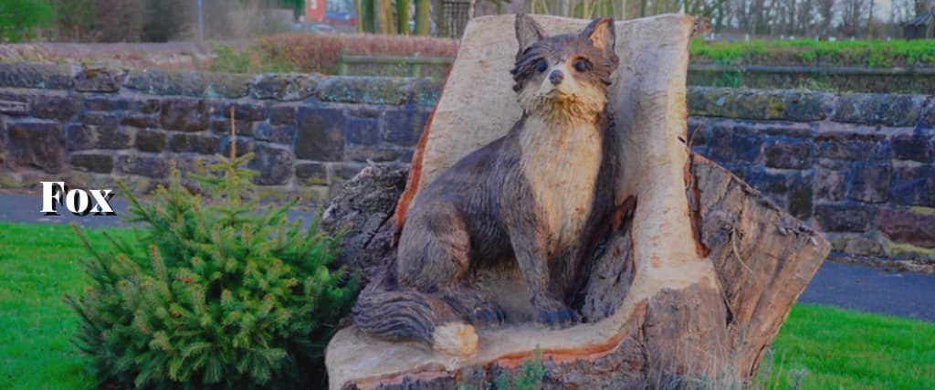 Fox