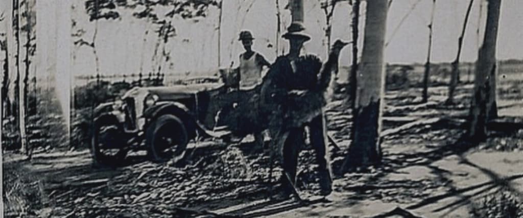 Great Emu War