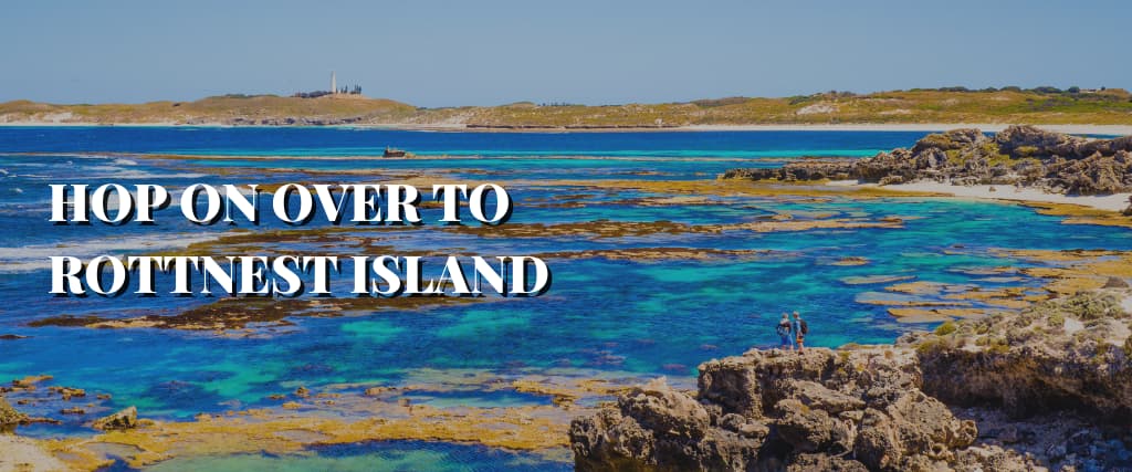 HOP ON OVER TO ROTTNEST ISLAND
