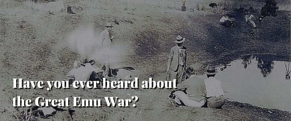 Have you ever heard about the Great Emu War