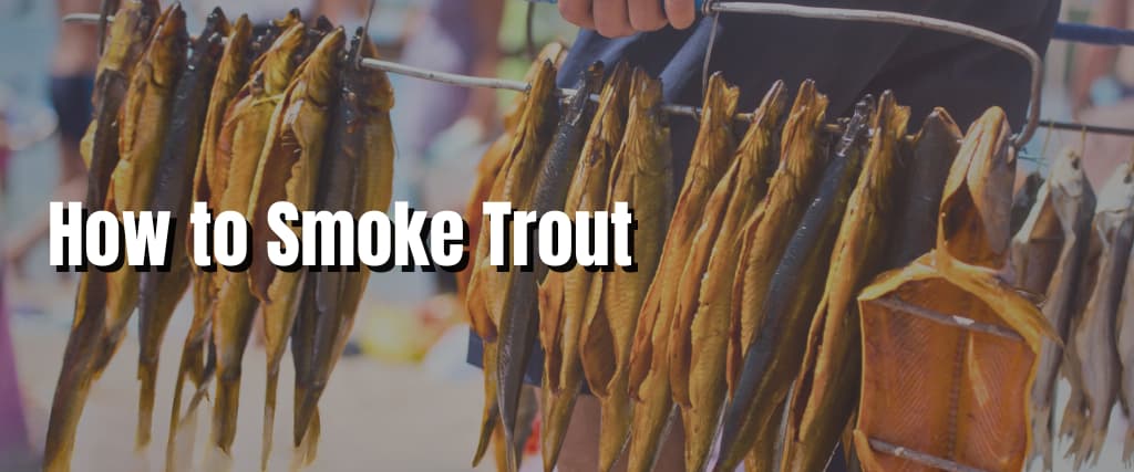 How to Smoke Trout