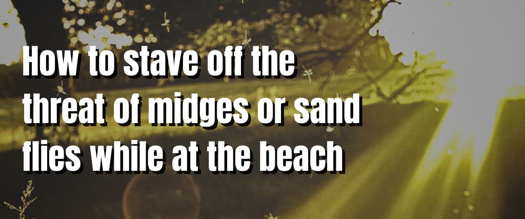 How to stave off the threat of midges or sand flies while at the beach