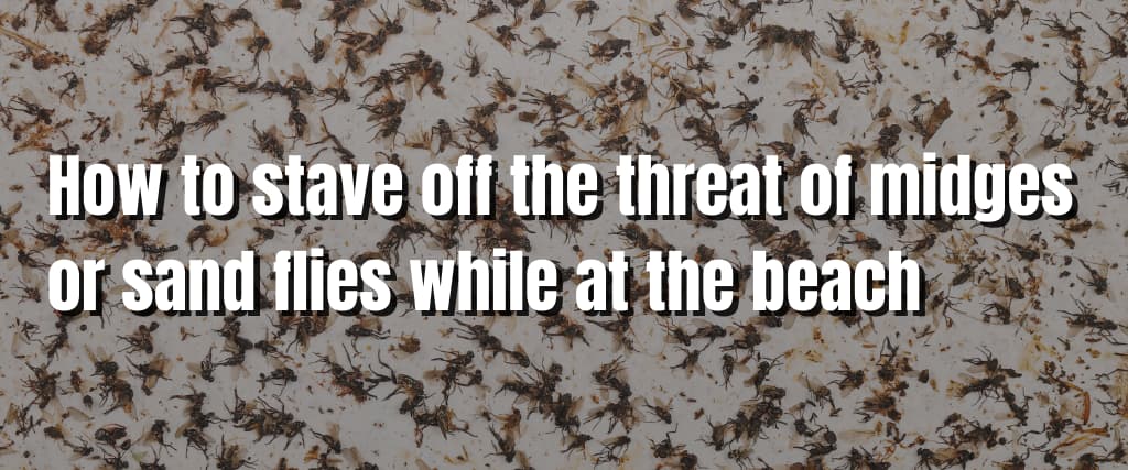 How to stave off the threat of midges or sand flies while at the beach