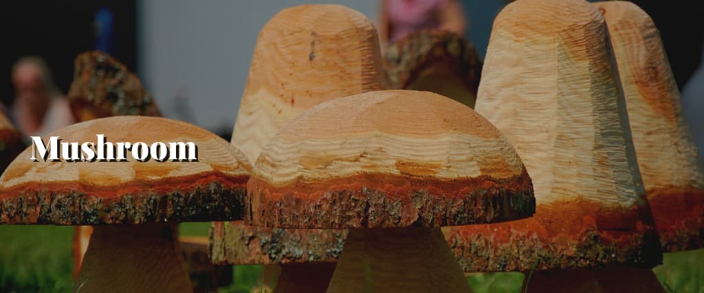 Mushroom