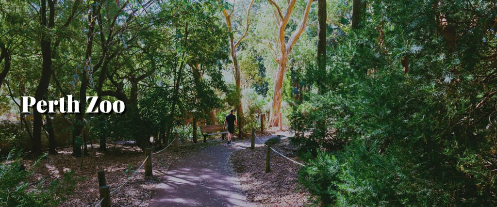 Perth Zoo