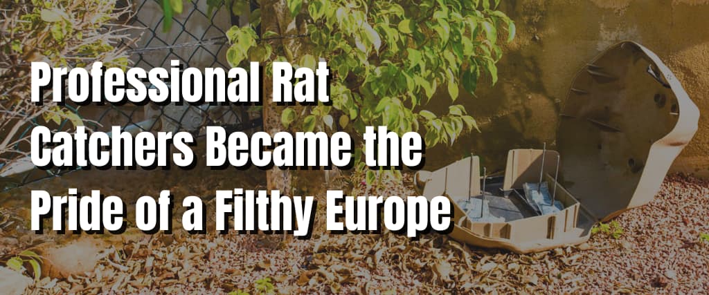 Professional Rat Catchers Became the Pride of a Filthy Europe