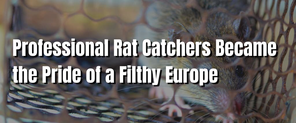 Professional Rat Catchers Became the Pride of a Filthy Europe