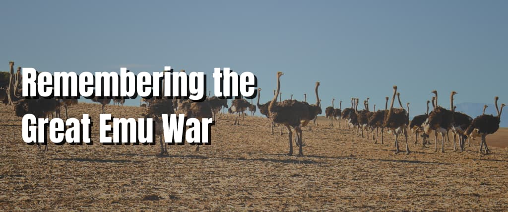 Remembering the Great Emu War