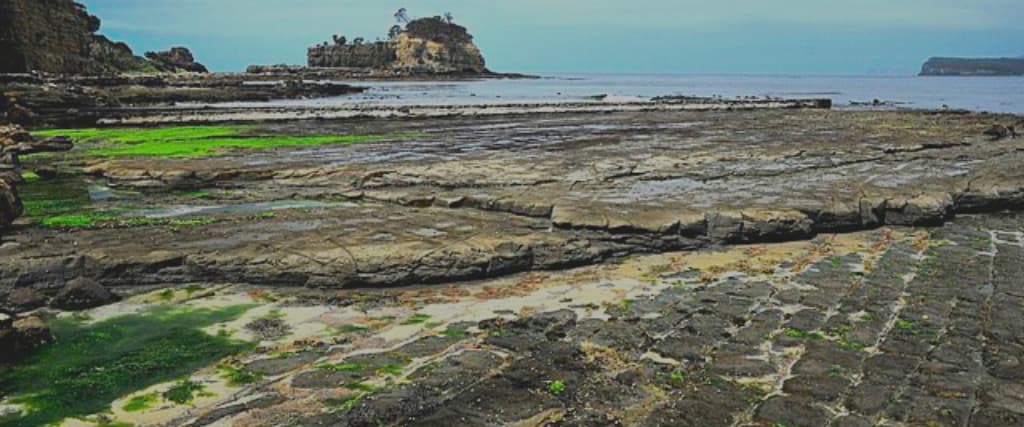 It Took Millions of Years for the Earth to Form This Strange Pavement ...