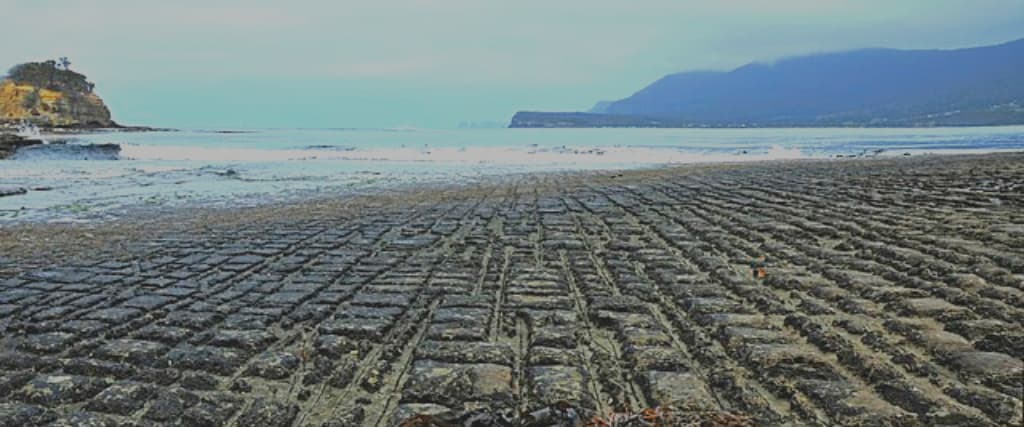 It Took Millions of Years for the Earth to Form This Strange Pavement ...