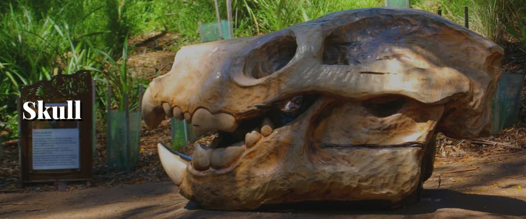 Skull