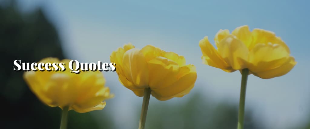 Success Quotes