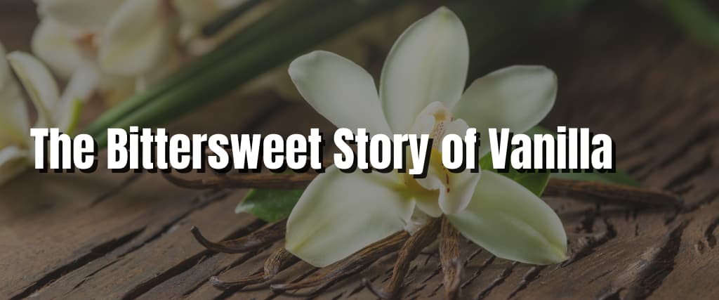 The Bittersweet Story of Vanilla