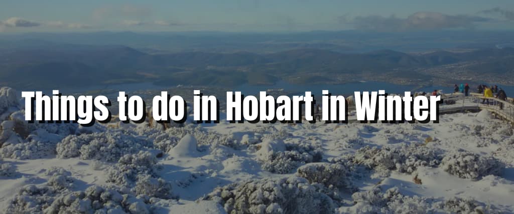 Things to do in Hobart in Winter