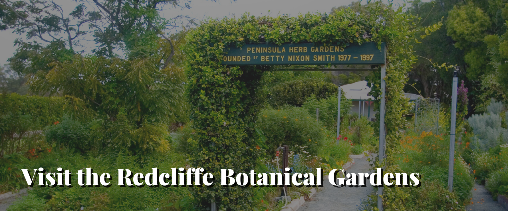 Visit the Redcliffe Botanical Gardens