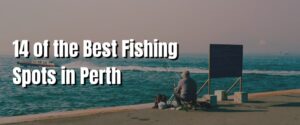 14 of the Best Fishing Spots in Perth