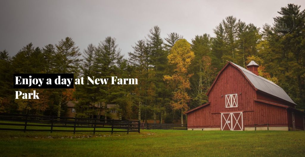 Enjoy a day at New Farm Park