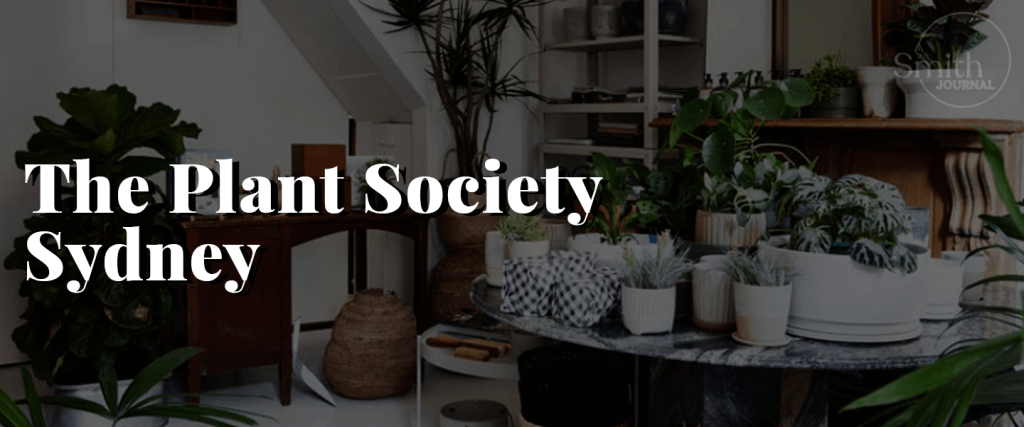 The Plant Society Sydney