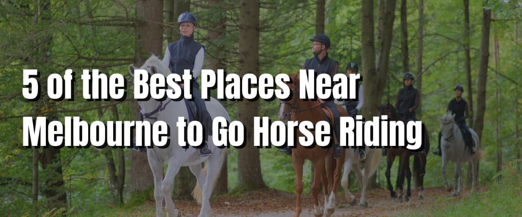5 of the Best Places Near Melbourne to Go Horse Riding