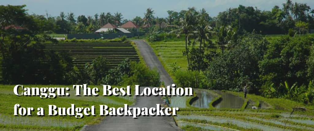 Canggu The Best Location for a Budget Backpacker
