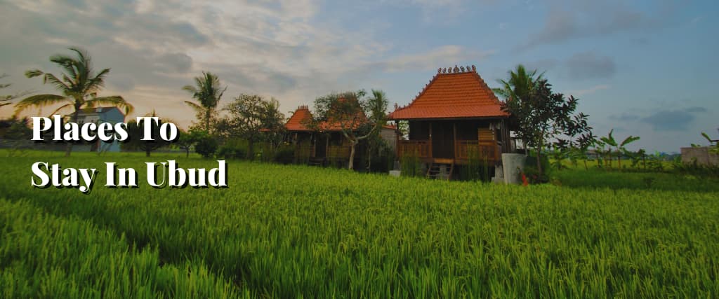 Places To Stay In Ubud