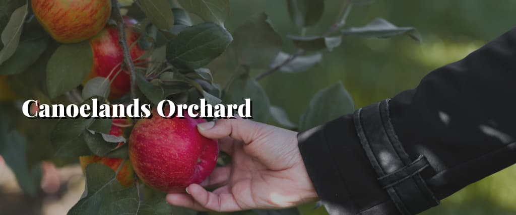 Canoelands Orchard