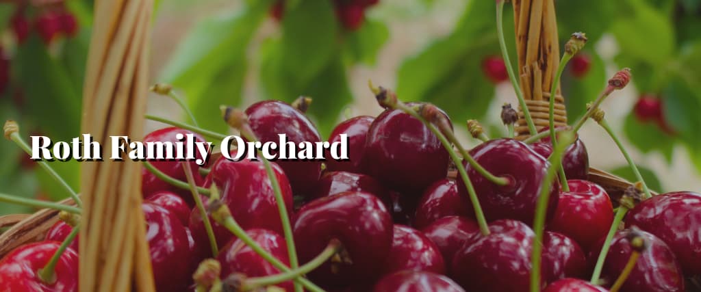 Roth Family Orchard