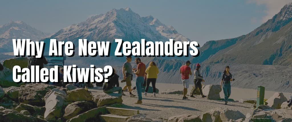 Why Are New Zealanders Called Kiwis