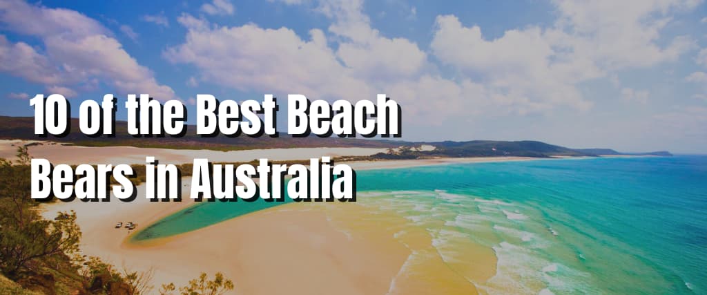 10 of the Best Beach Bears in Australia