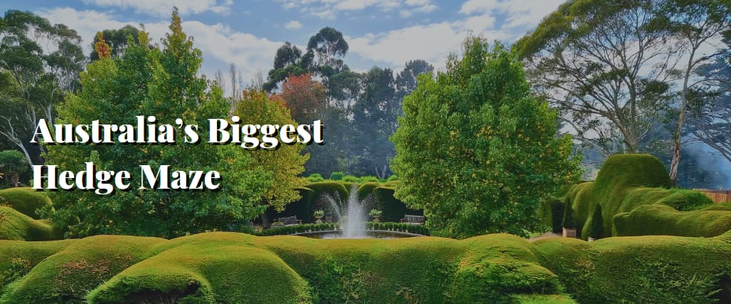 Australia’s Biggest Hedge Maze