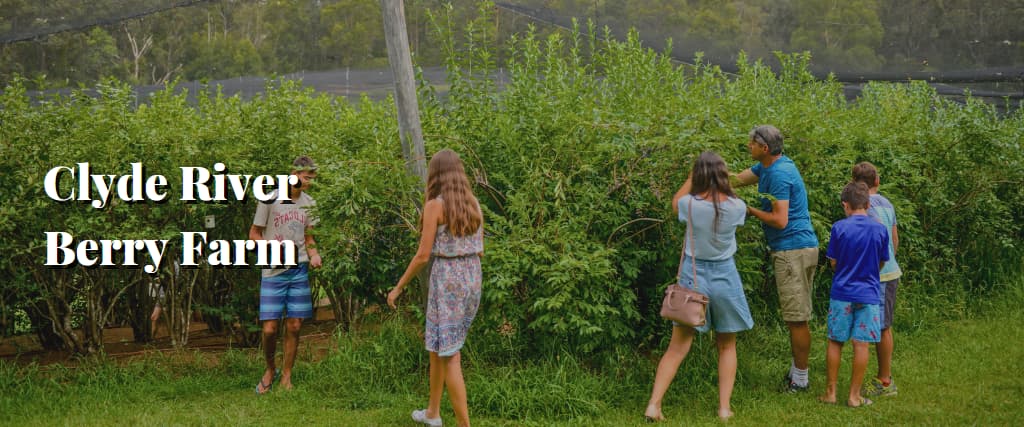 Clyde River Berry Farm