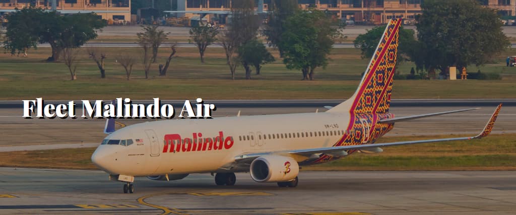 Fleet Malindo Air