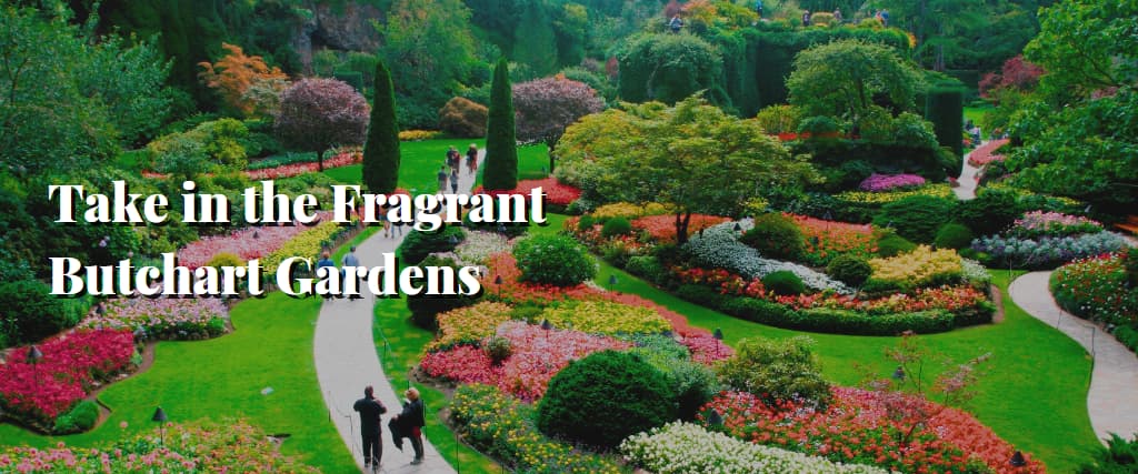 Take in the Fragrant Butchart Gardens