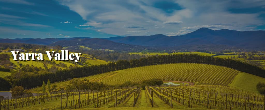 Yarra Valley