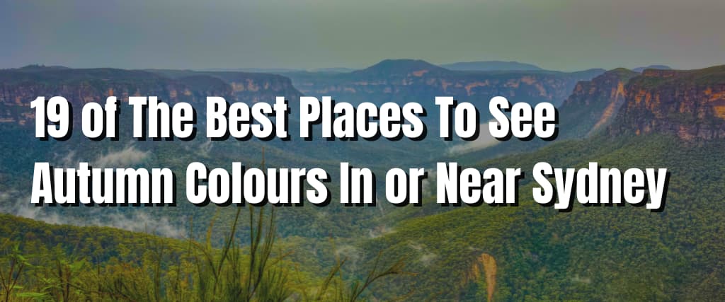 19 of The Best Places To See Autumn Colours In or Near Sydney