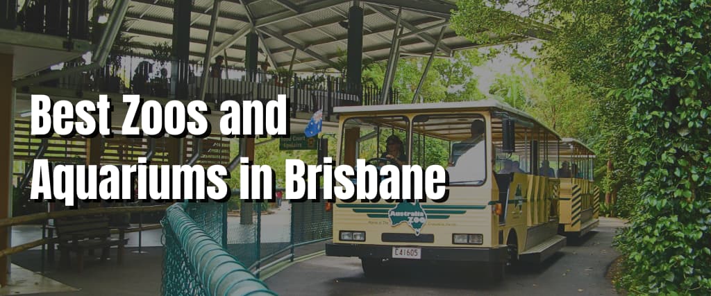 Best Zoos and Aquariums in Brisbane