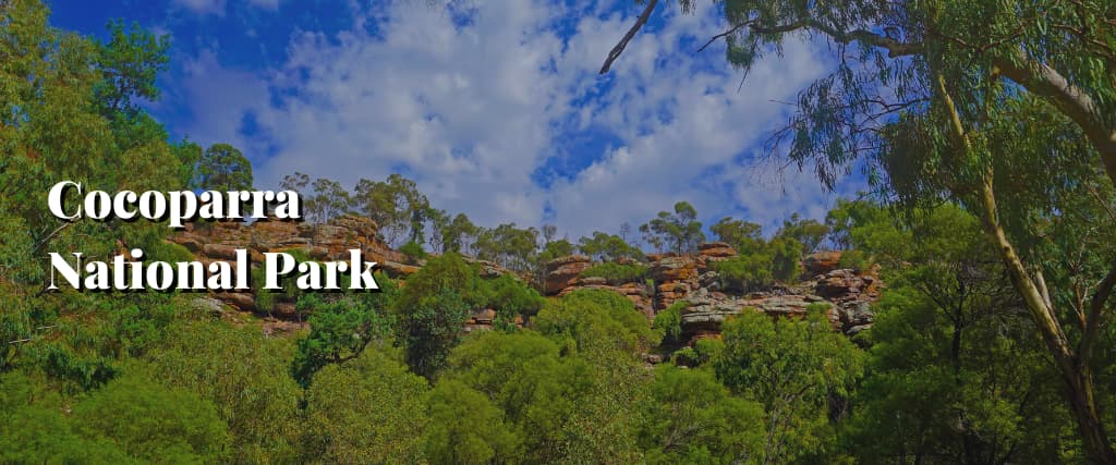 Cocoparra National Park