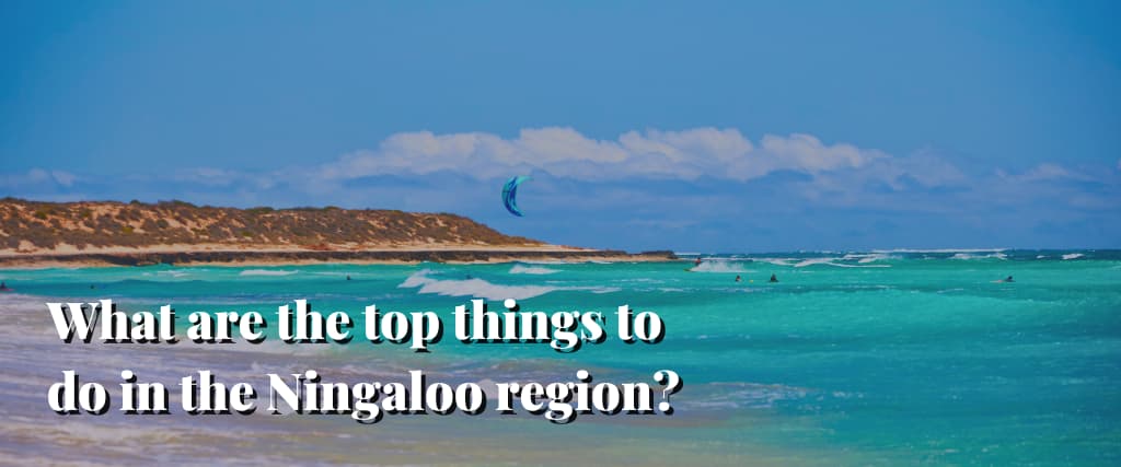 What are the top things to do in the Ningaloo region