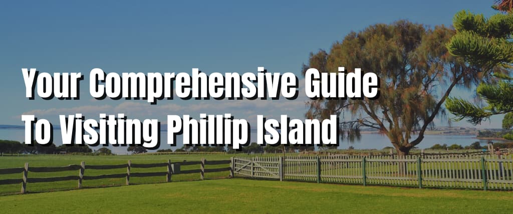 Your Comprehensive Guide To Visiting Phillip Island