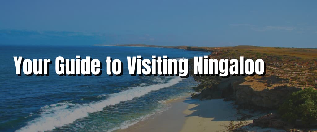 Your Guide to Visiting Ningaloo