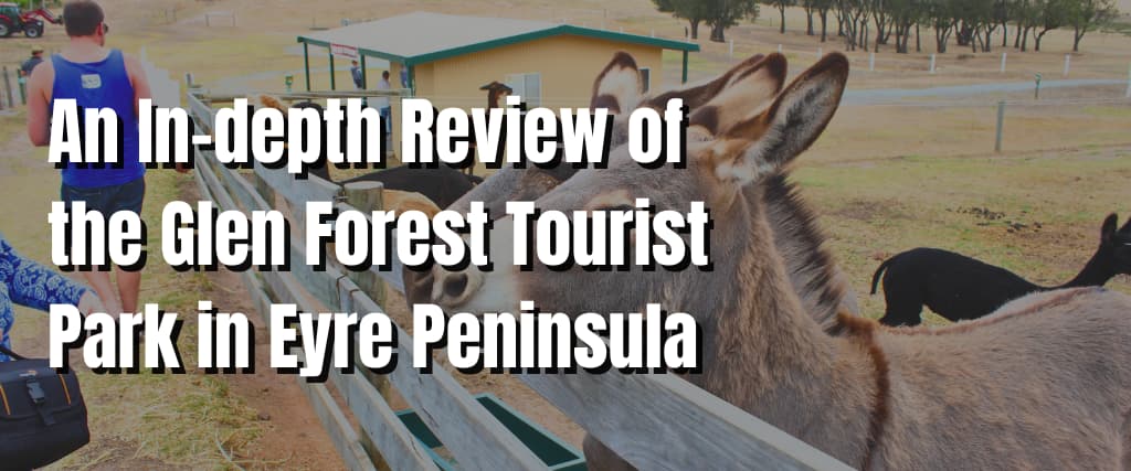 An In-depth Review of the Glen Forest Tourist Park in Eyre Peninsula