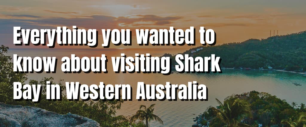 Everything you wanted to know about visiting Shark Bay in Western Australia