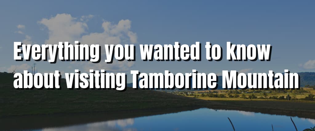 Everything you wanted to know about visiting Tamborine Mountain